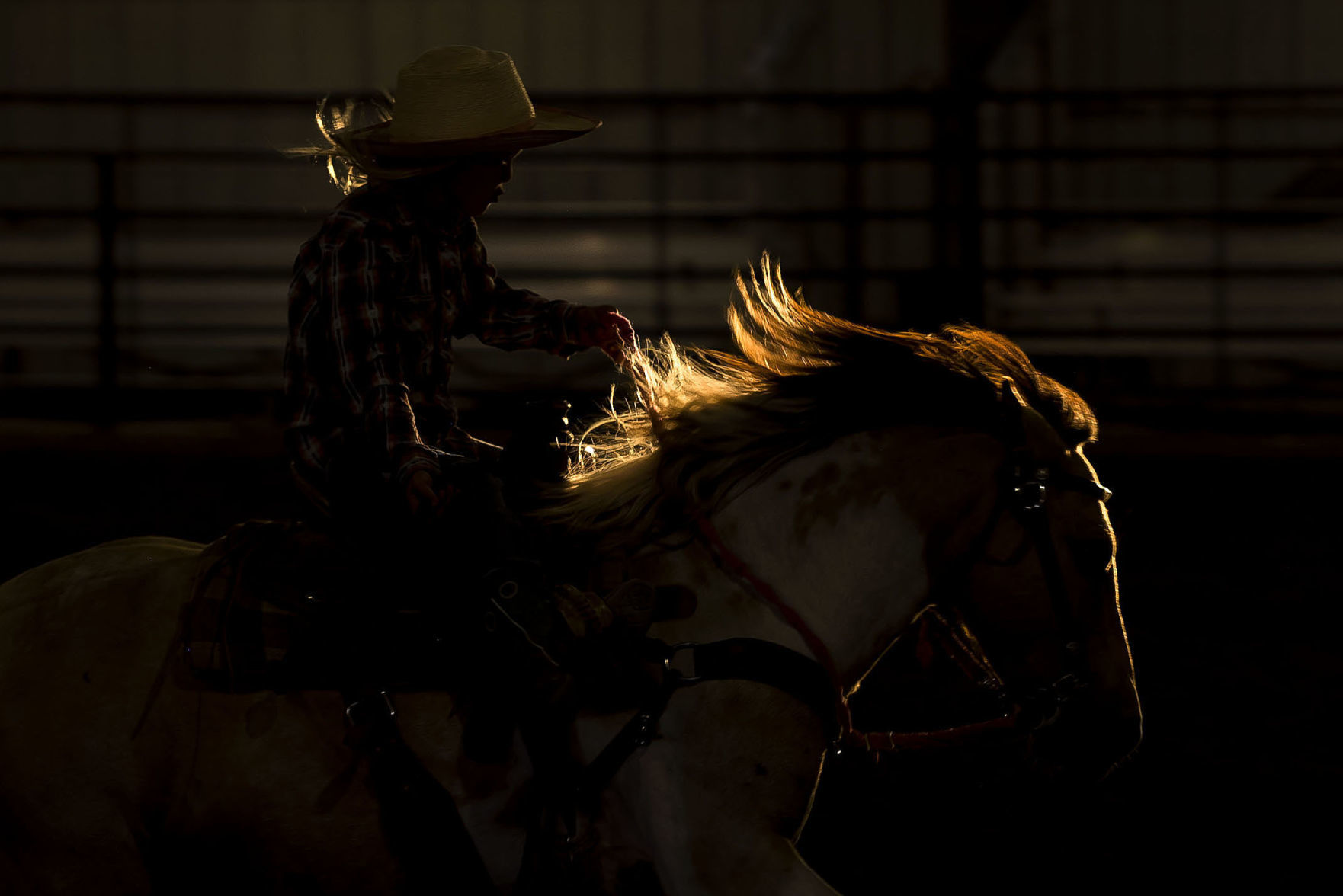 Jackson Hole Rodeo Finals